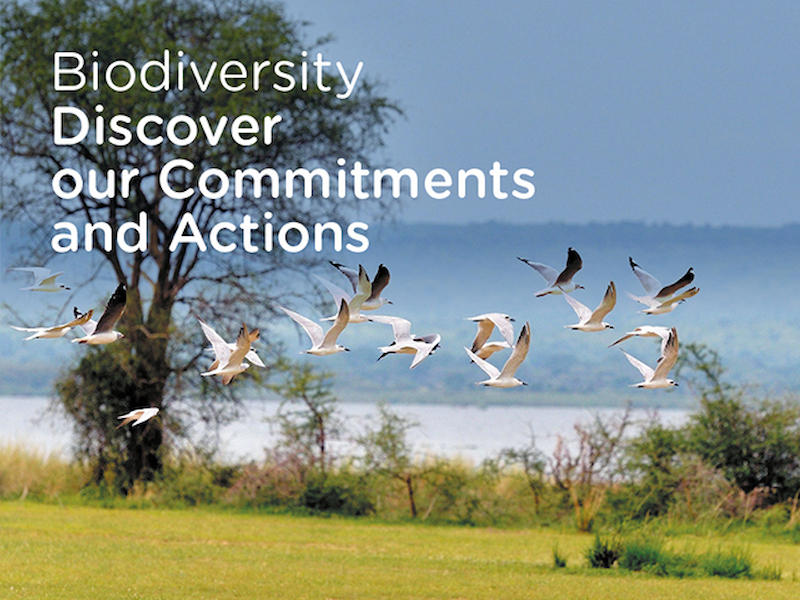 Biodiversity Discover our Commitments and actions