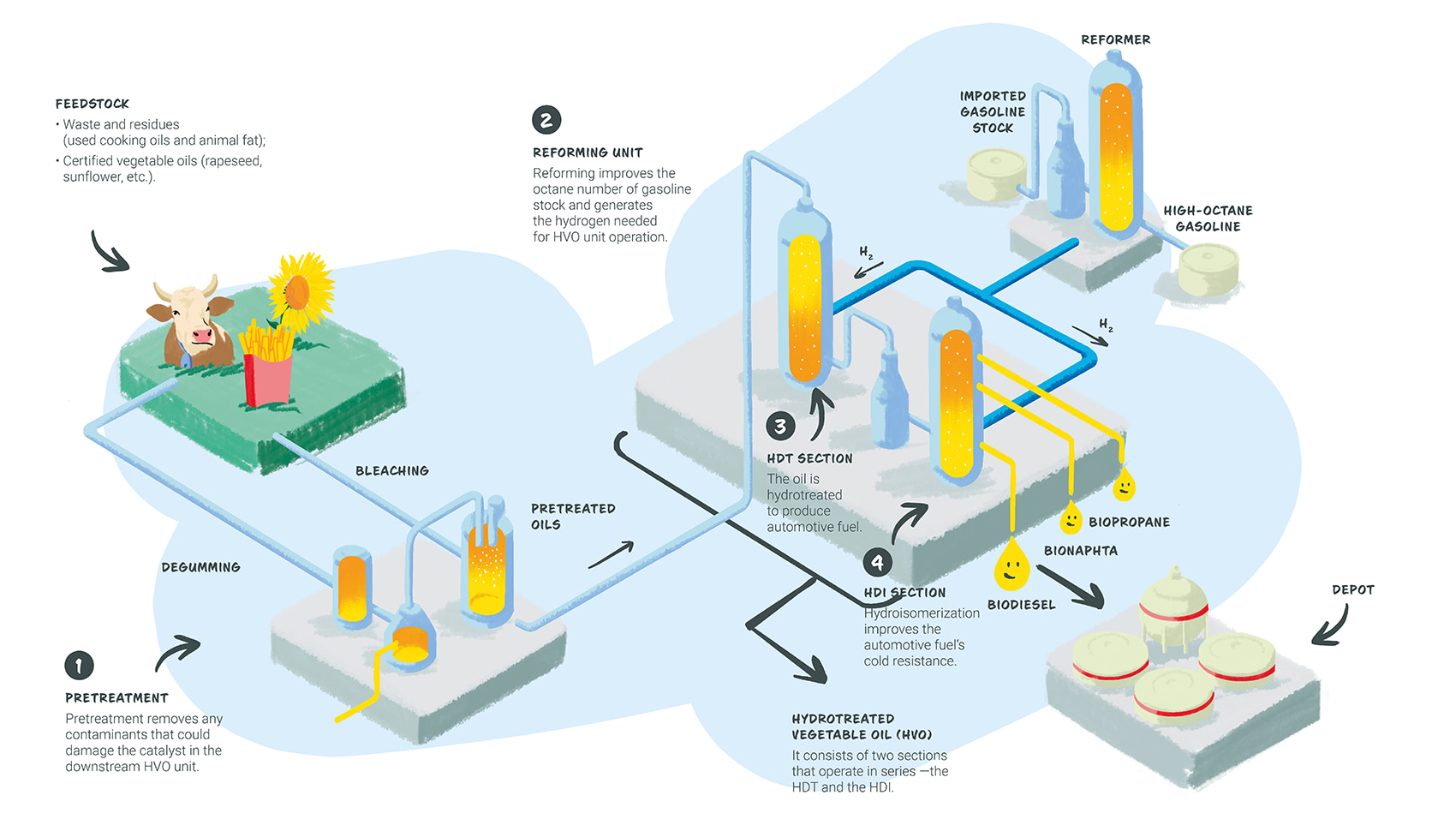 © Ikigaï - TotalEnergies Infographics "How our biofuels are produced?" - see detailed description hereafter
