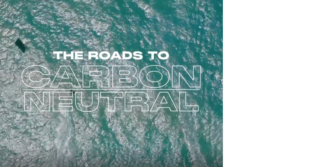 The Roads to Carbon Neutral