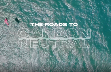 The Roads to Carbon Neutral