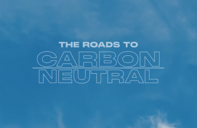 The Roads to Carbon Neutral