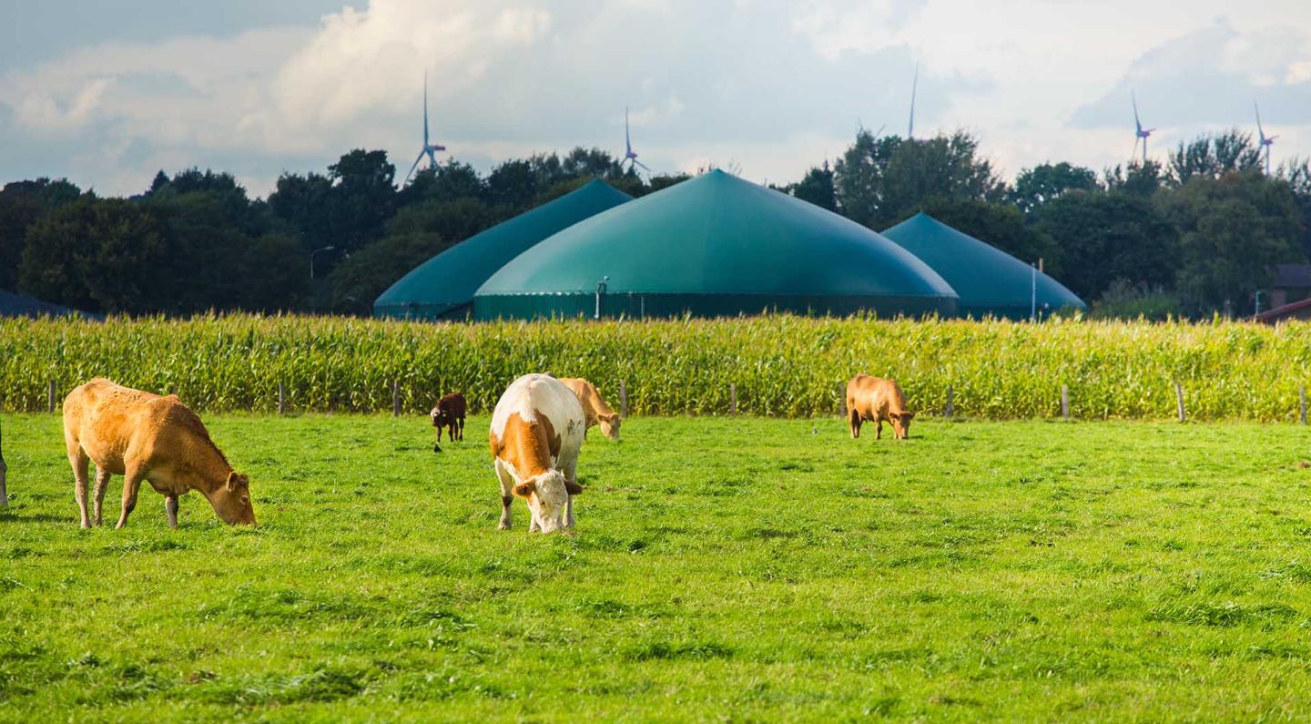 biomethane