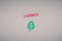 La biomasse