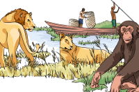 Infographics Uganda: The Four Pillars of the Tilenga Biodiversity Program - Learn out more