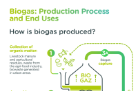 "Biogas: Production Process and End Uses" infographics