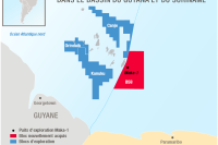 Carte Surinam CP 20/12/19