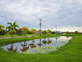 Canal in the northern suburb of capital city Paramaribo in Suriname, South America