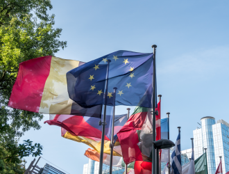 European union flag