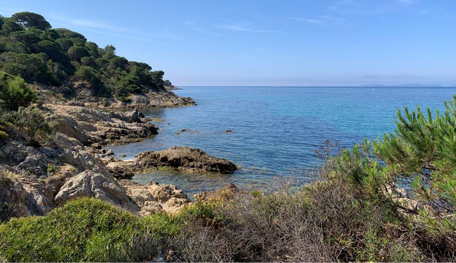 © TotalEnergies Paysage en bord de mer - voir description détaillée ci-après