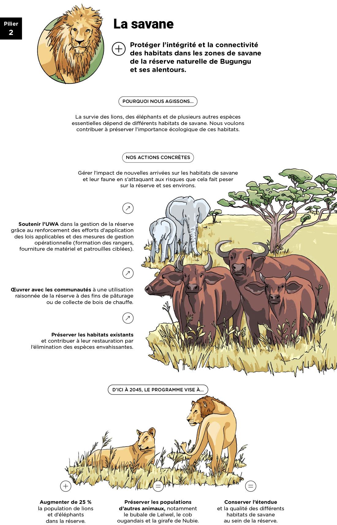 © TotalEnergies Infographie « Pilier 2 : La savane » - voir description détaillée ci-après