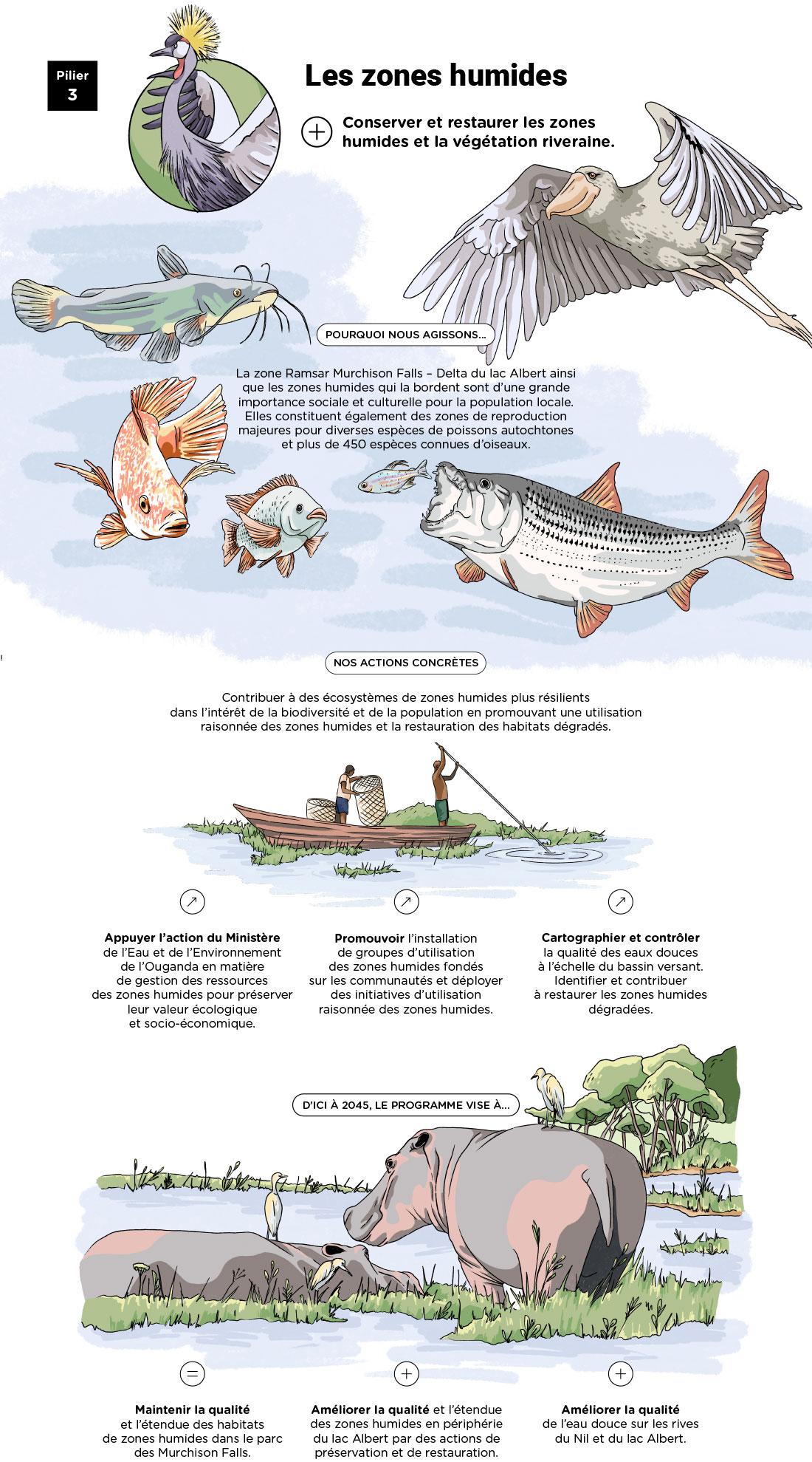 Infographie « Pilier 3 : Les zones humides » - voir description détaillée ci-après