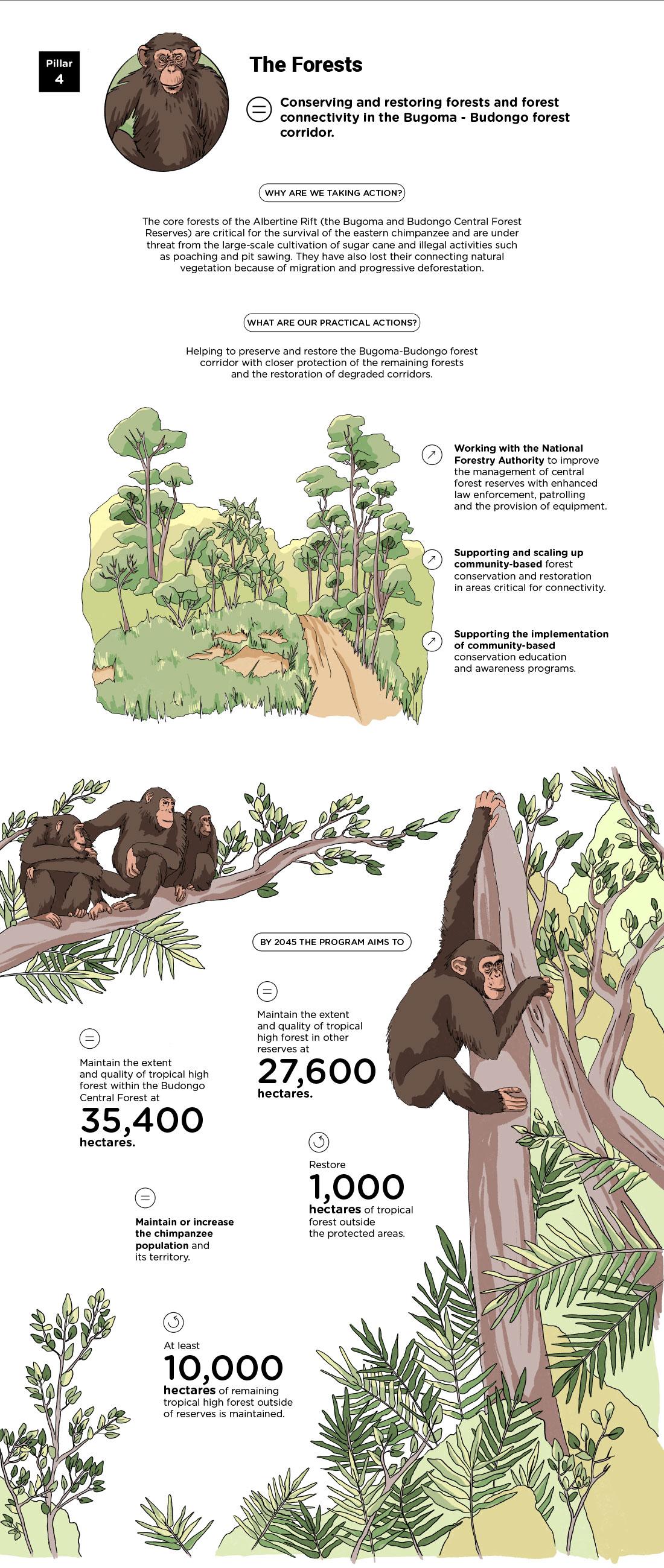 © TotalEnergies Infographics « Pillar 4: The Forests » - see detailed description hereafter