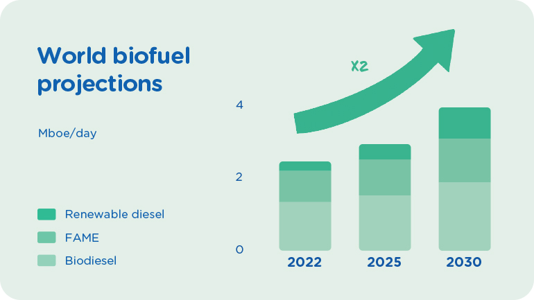Infographics "World biofuel projections" - see detailed description hereafter