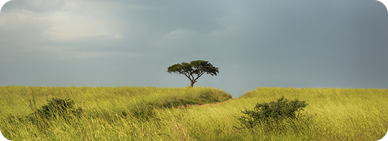 biodiversité