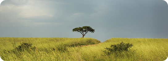 biodiversity 