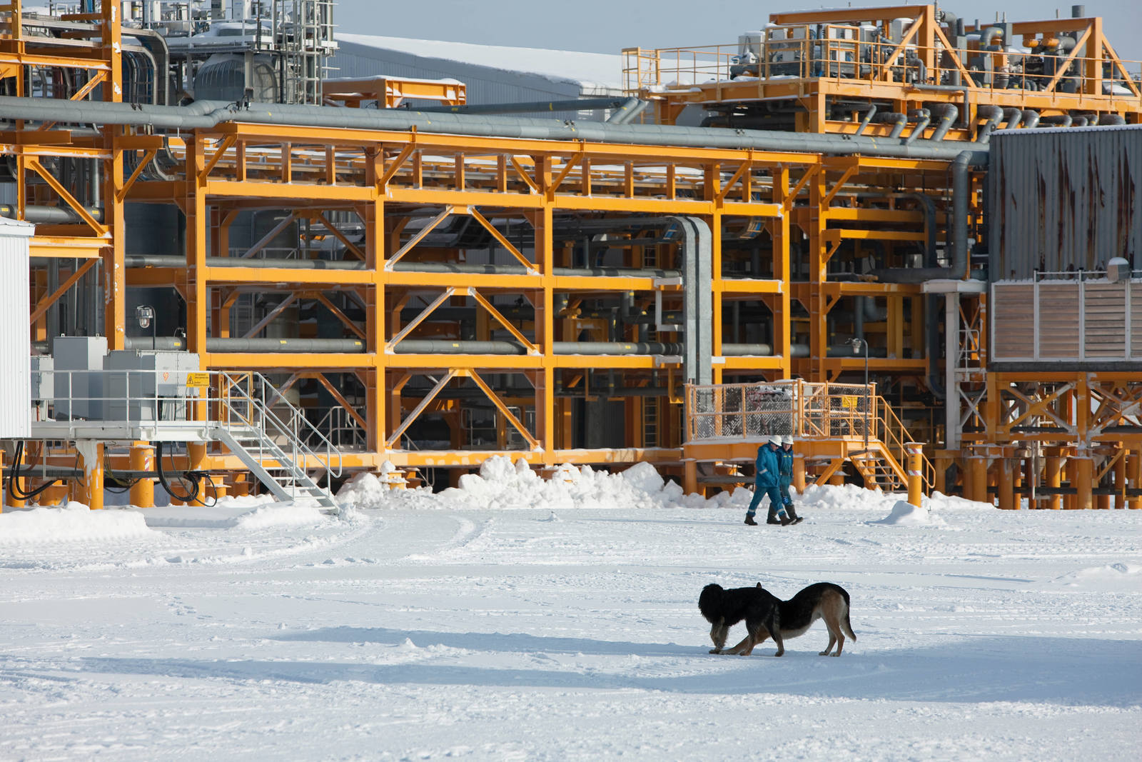 TotalEnergies in Russia